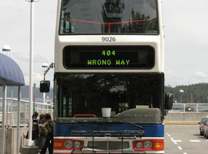 Bus 303