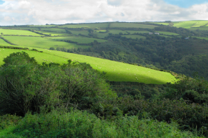 North Devon fields for WEB.png Councils re-establish five-year housing supply for northern Devon
