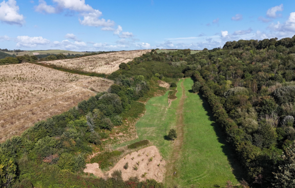Yeo Valley Woodland drone shot