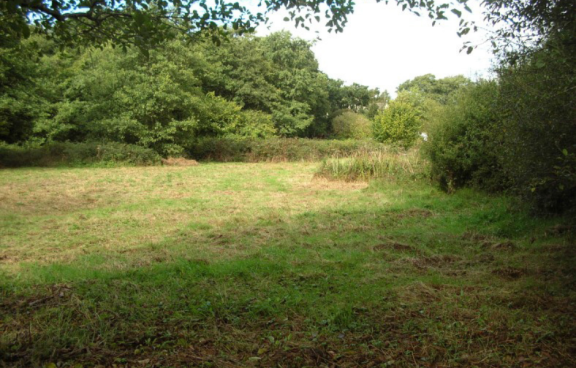 Fremington Local Nature reserve
