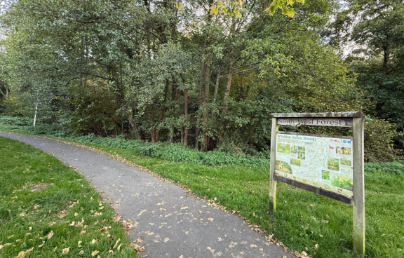 Whiddon Valley woods