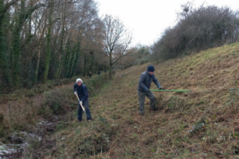 Picture of two men raking the grass ground