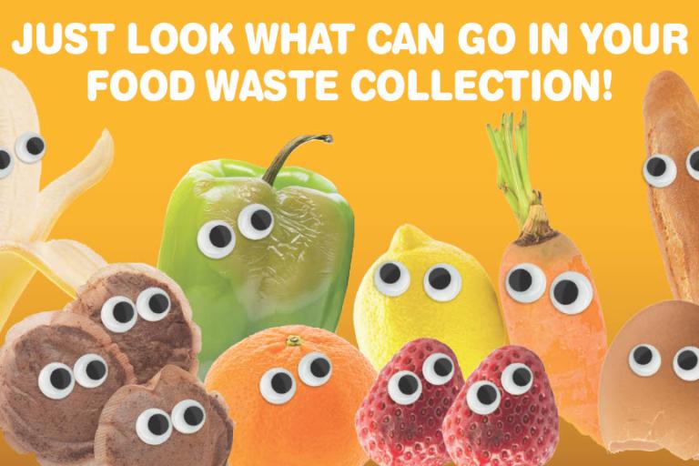 Just look what can go in your food waste collection. Photo of fruit, veg, bread, shells. 