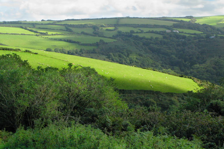 North Devon fields