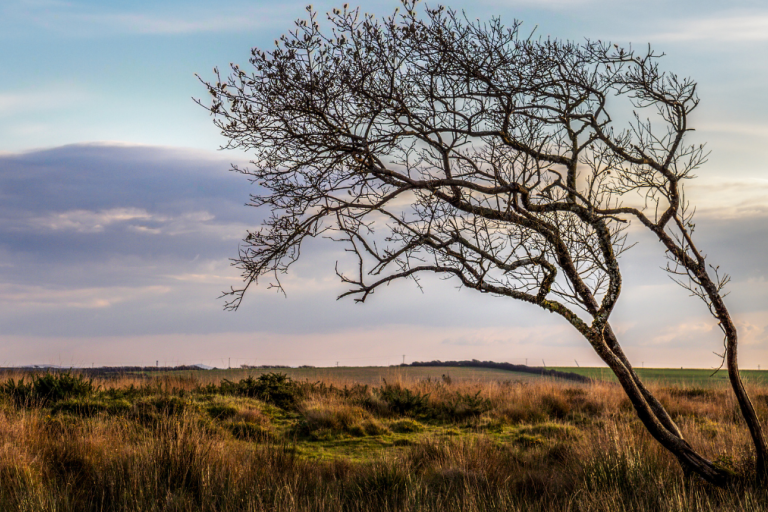 A stock image of moorland in northern Devon