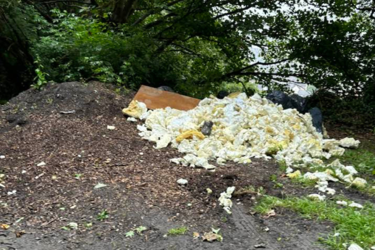 Fly-tipping at Torrs Park