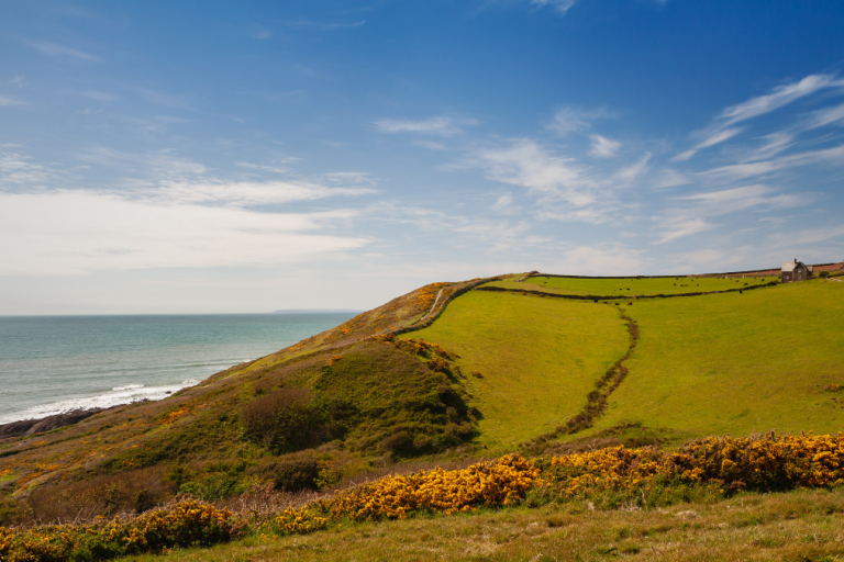 Coastal view of North Devon near Baggy Point