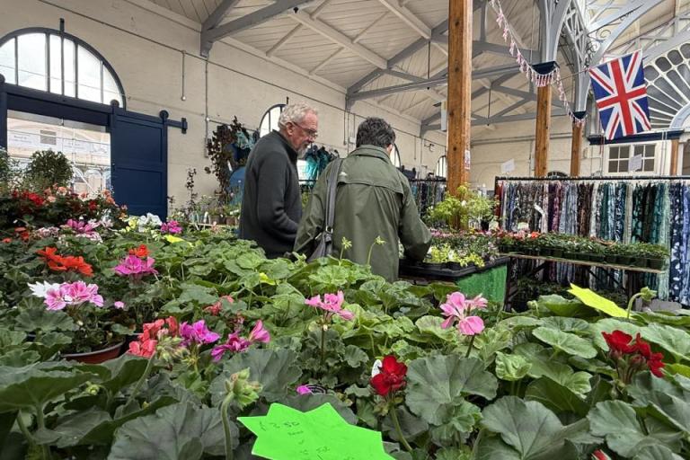 Dave's Plants stand