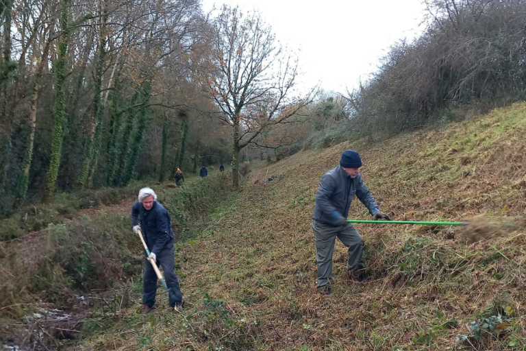 Raking the cuttings