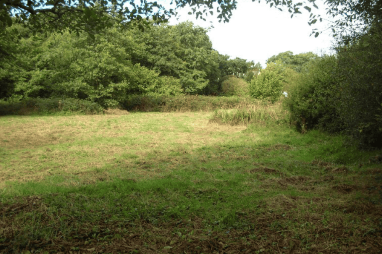 Nature reserve in fremington