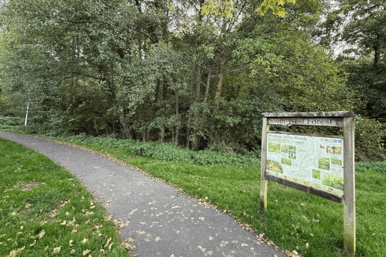 Whiddon Valley Woods path