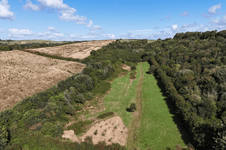 Top view of yeo valley woodland reserve