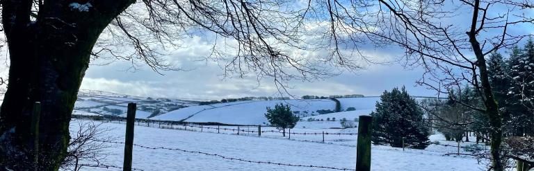 Overlooking a snowy field in Bratton Fleming