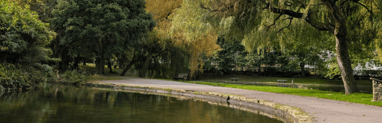 View of Bicclescombe park